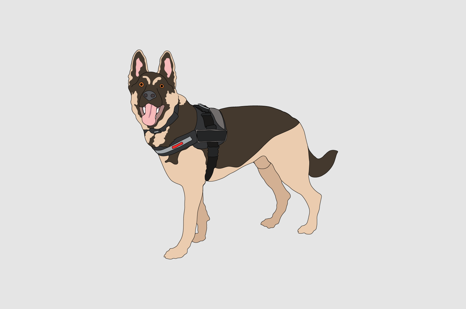 Fetch Jax Illustration Solo 01